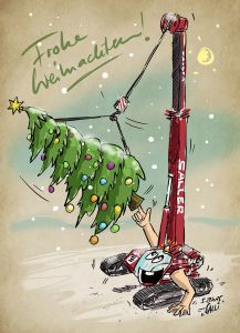 Salli Raupenkran Kran Saller 2025